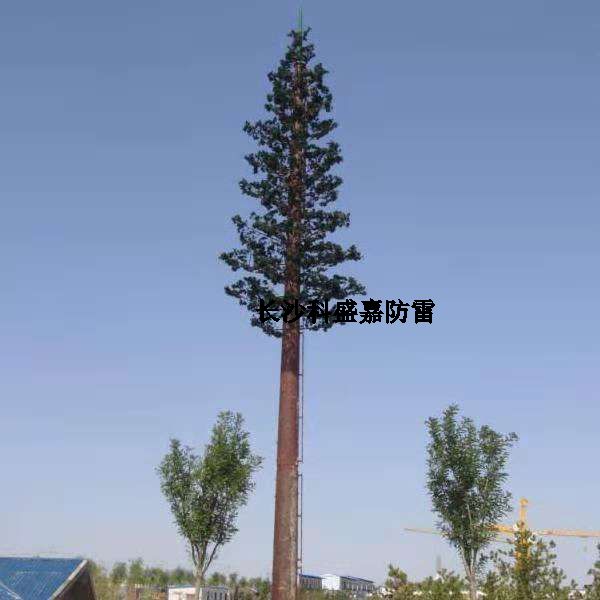 這是什么？看到圖先猜猜再進來，猜對了的都是公雞中的戰(zhàn)斗機